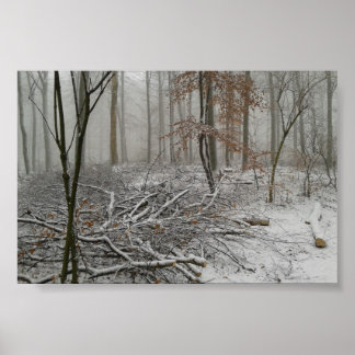 Póster Snowy Winter Forest