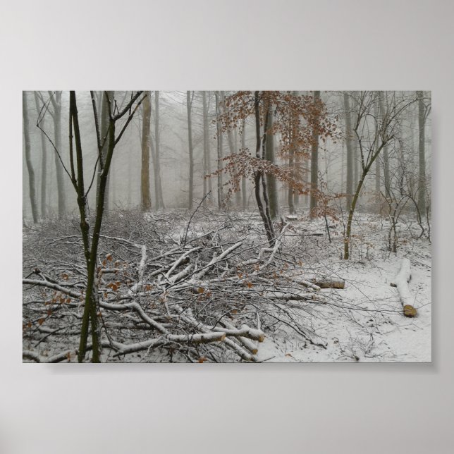 Póster Snowy Winter Forest (Frente)