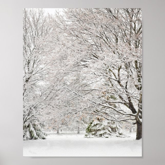 Poster Snowy Winter Forest (Frente)