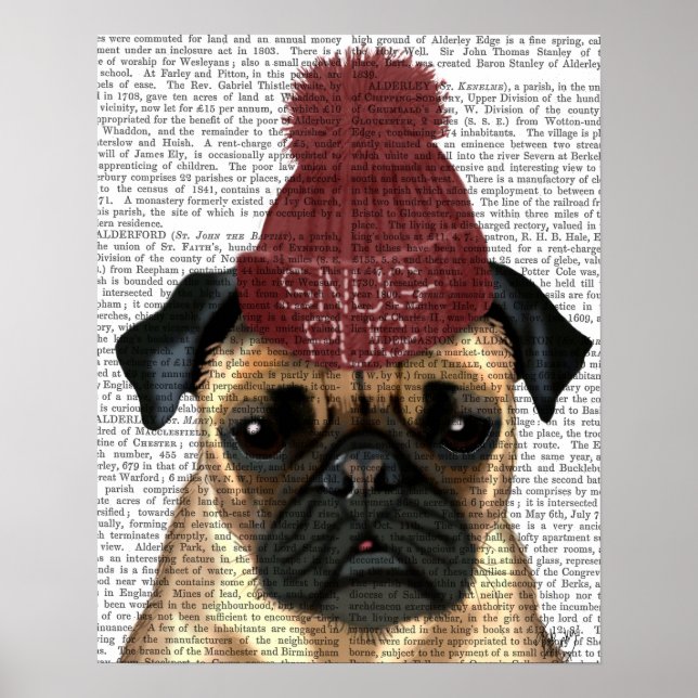 Poster Snug Pug (Frente)