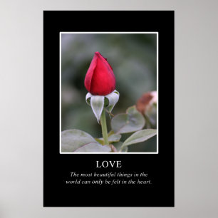 Póster Só o coração sabe a verdadeira beleza