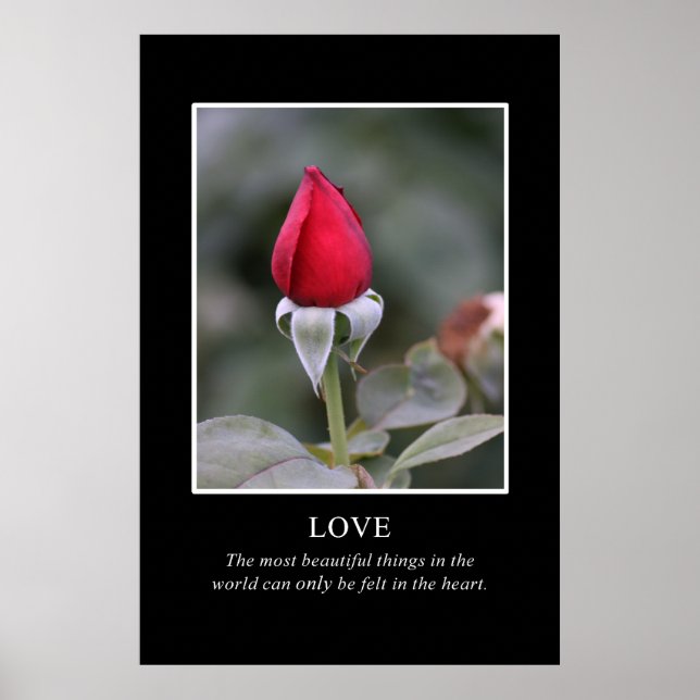 Póster Só o coração sabe a verdadeira beleza (Frente)