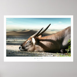 Poster só por um tempo