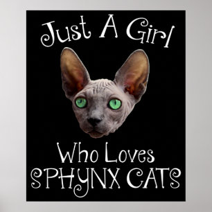 Poster Só Uma Garota Que Adora Gatos De Sphynx