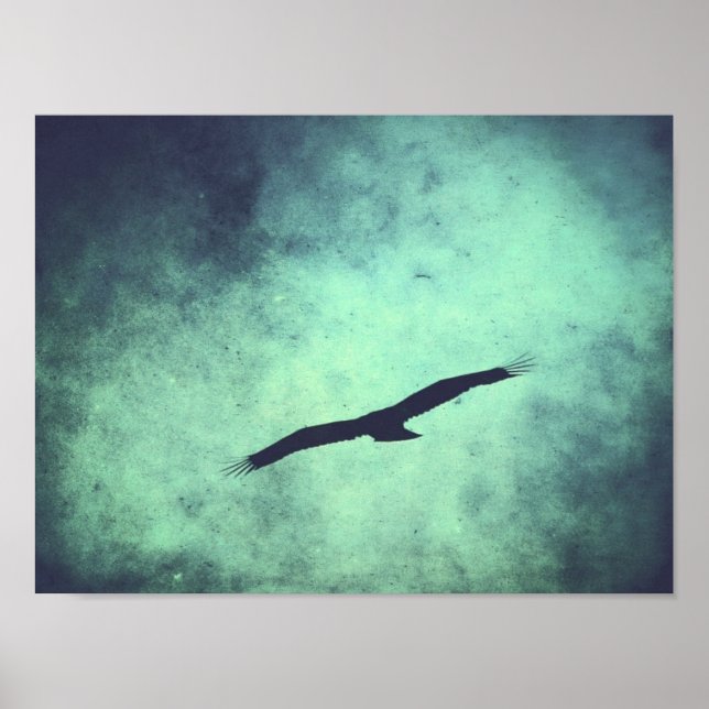 Póster Soar (Frente)