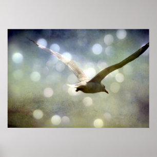 Póster Soar 3