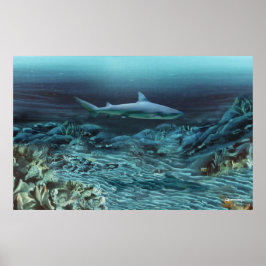 Póster Sob a água 1