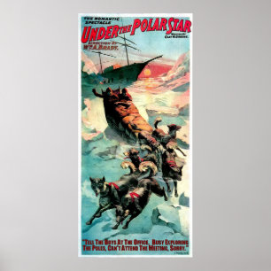 POSTER SOB A ESTRELA POLAR
