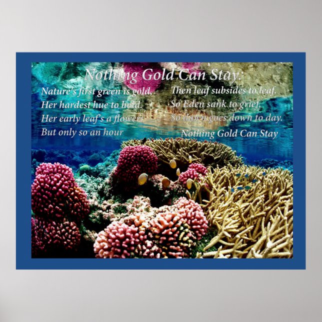 Póster Sob Água (Frente)