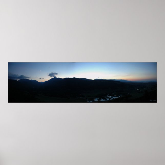 Póster Sobre A Erva-Vassoura (Frente)