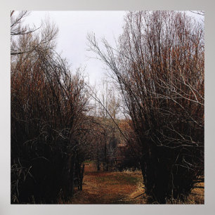 Poster Sobrecarga de Bannack de Queda