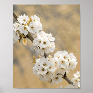 Poster Sobreposição das Naturas da Sinfonia do Flor