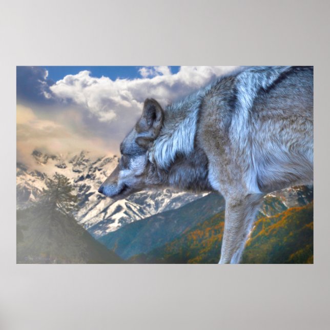 POSTER SOBREPOSIÇÃO DE LIBERDADE (Frente)