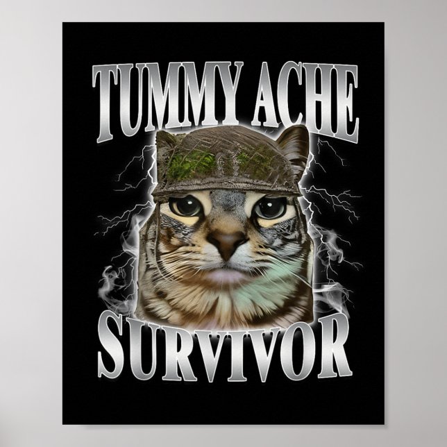 Poster Sobrevivente de Dor de Barriga Meme de Gato Engraç (Frente)