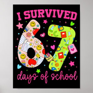 Poster Sobrevivi 67 Dias De Escola Camuflagem Engraçada M