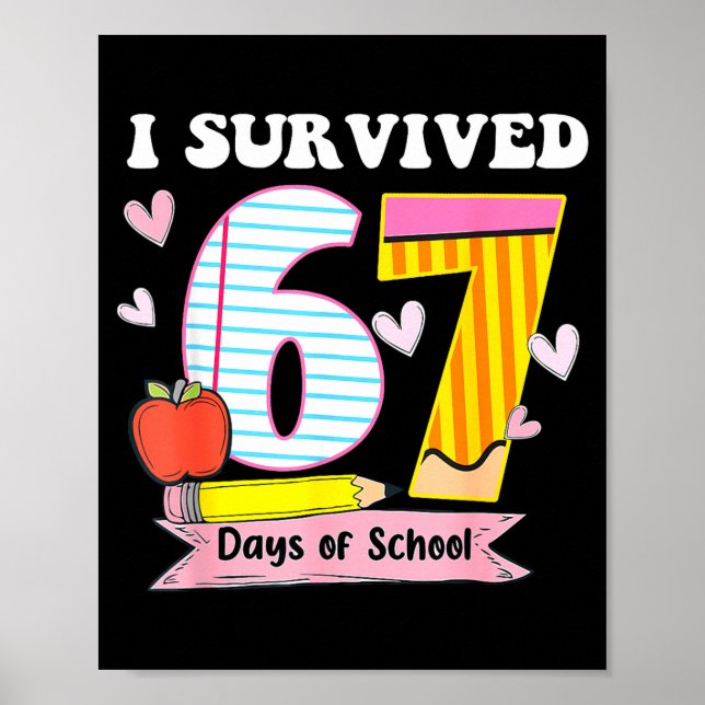 Poster Sobrevivi 67 Dias De Escola Piada Meme Professor (Frente)