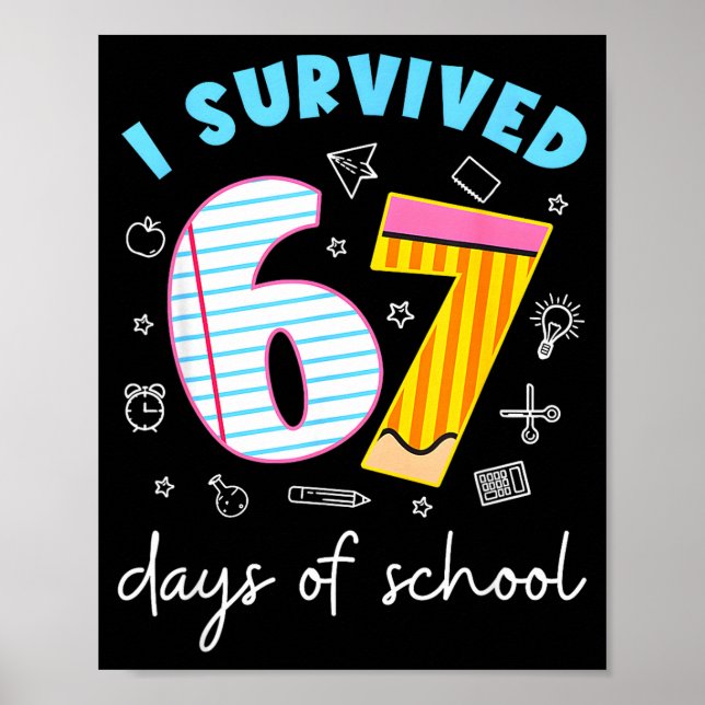 Poster Sobrevivi 67 Dias De Escola Piada Meme Professor (Frente)