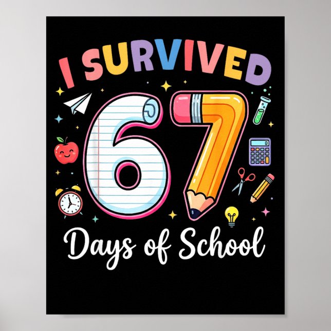Poster Sobrevivi a 67 Dias de Aula Meme Divertido Profess (Frente)