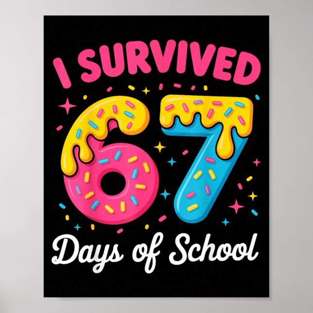 Poster Sobrevivi a 67 Dias de Aula Meme Divertido Profess (Frente)