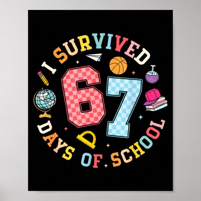 Poster Sobrevivi a 67 Dias de Aula Meme Divertido Profess (Frente)