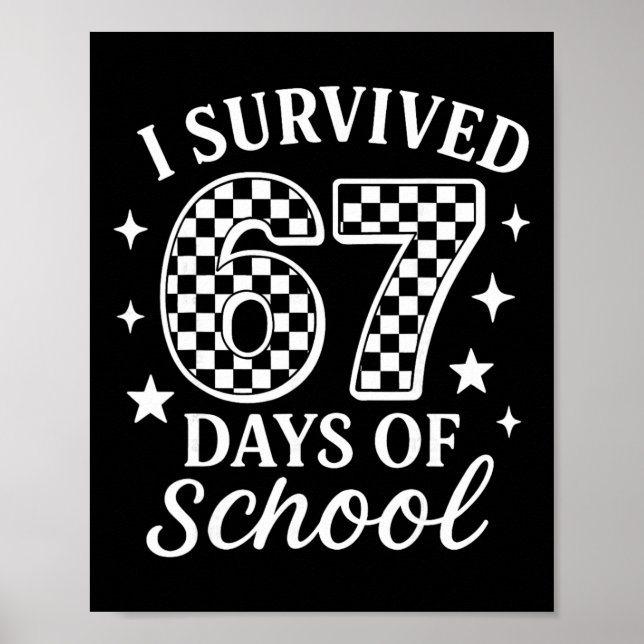 Poster Sobrevivi a 67 Dias de Aula Meme Divertido Profess (Frente)