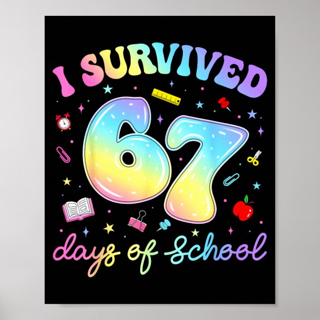 Poster Sobrevivi a 67 Dias de Aula Meme Engraçado Profess (Frente)