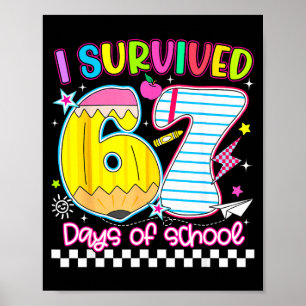 Poster Sobrevivi a 67 Dias de Escola Meme Engraçado Menin