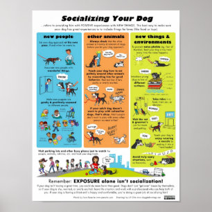 Poster Socializando seu cão