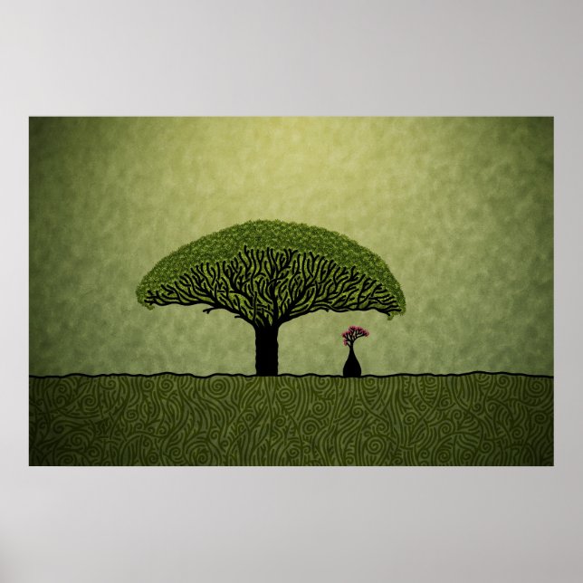 Póster Socotra (Frente)