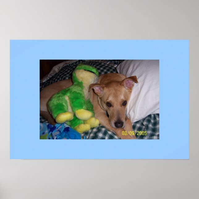 Póster Sócrates (Frente)