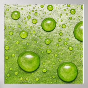 Poster "Soft Touch, Silent Drop"