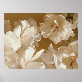 Poster Soft White Floral