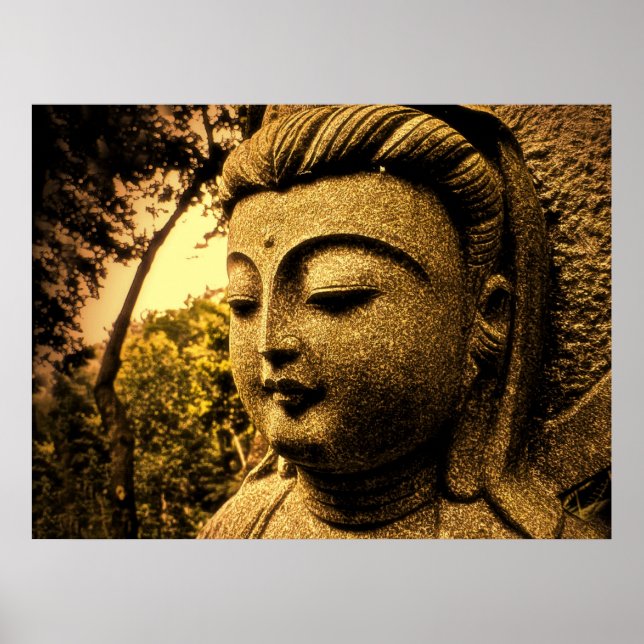 PÓSTER SOFTPEACE (Frente)