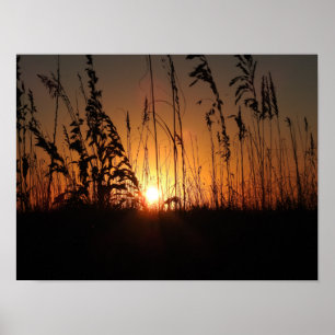 Poster Sol