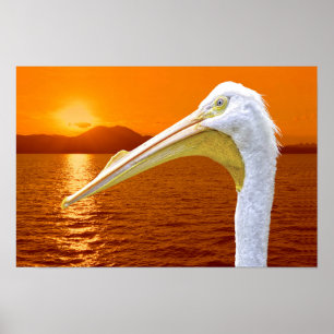 Poster Sol branco-americano Pelicano em Corfu