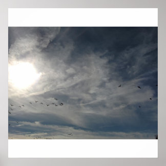 Poster sol branqueado