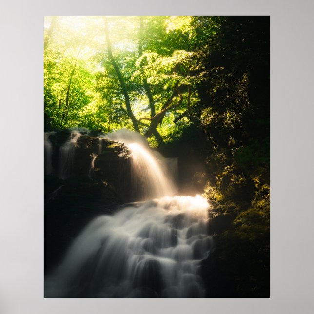 Poster Sol brilhando em uma cascata mágica (Frente)