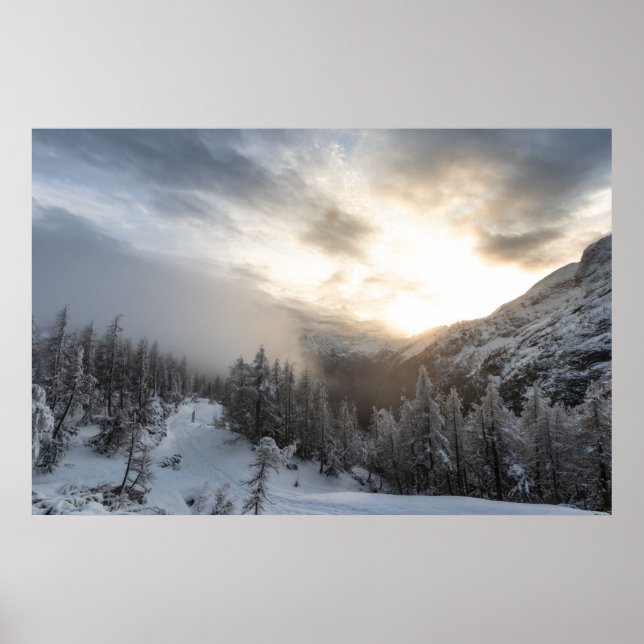 Poster Sol brilhando na incrível paisagem de inverno (Frente)