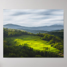 Poster Sol brilhando no campo de terraços