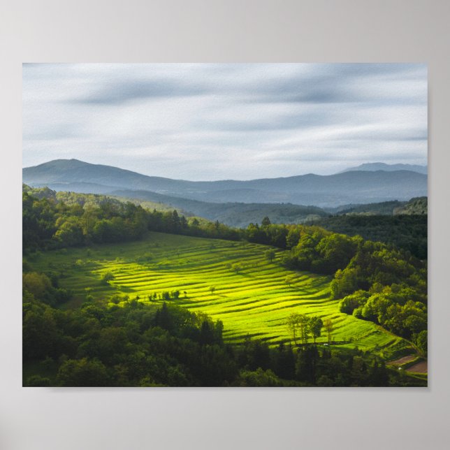 Poster Sol brilhando no campo de terraços (Frente)