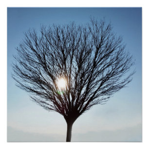 Póster Sol de inverno