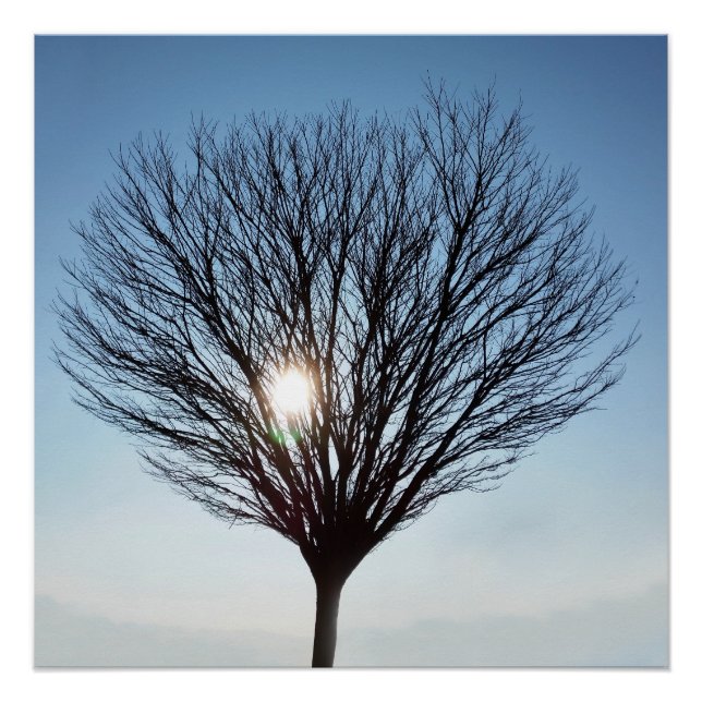 Póster Sol de inverno (Frente)