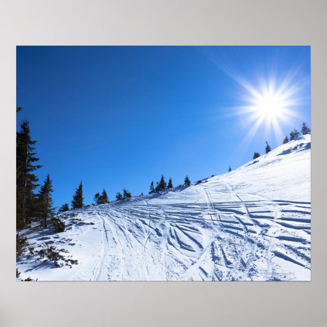 Poster Sol de inverno 4 (Frente)