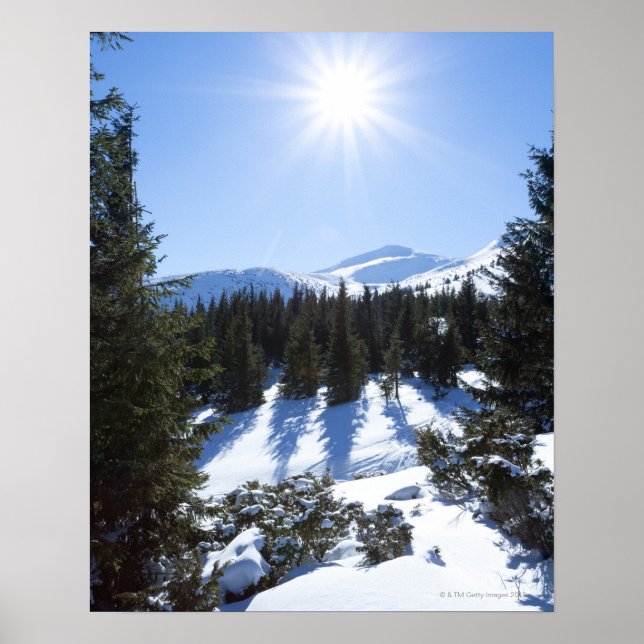 Poster Sol de inverno 5 (Frente)