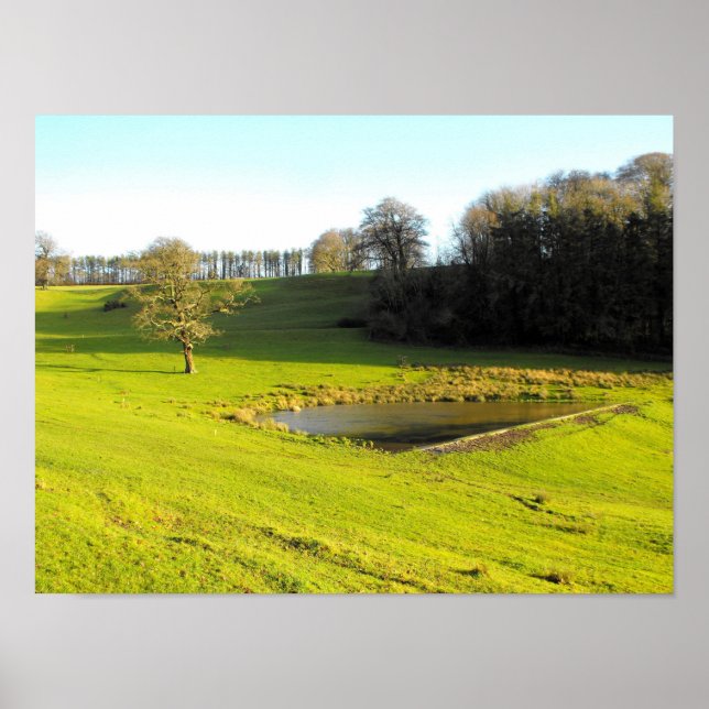 Póster Sol de outono em Somerset (Frente)