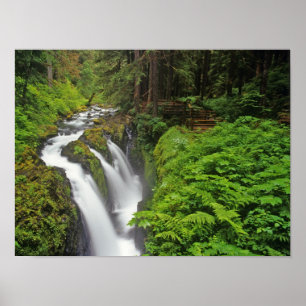 Póster Sol Duc Cai no Parque Nacional da Olimpiadas em 2