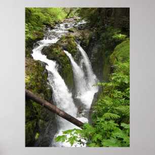 Poster Sol Duc Falls