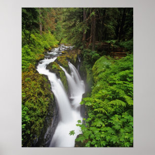 Póster Sol Duc Falls in Olimpiadas National Park
