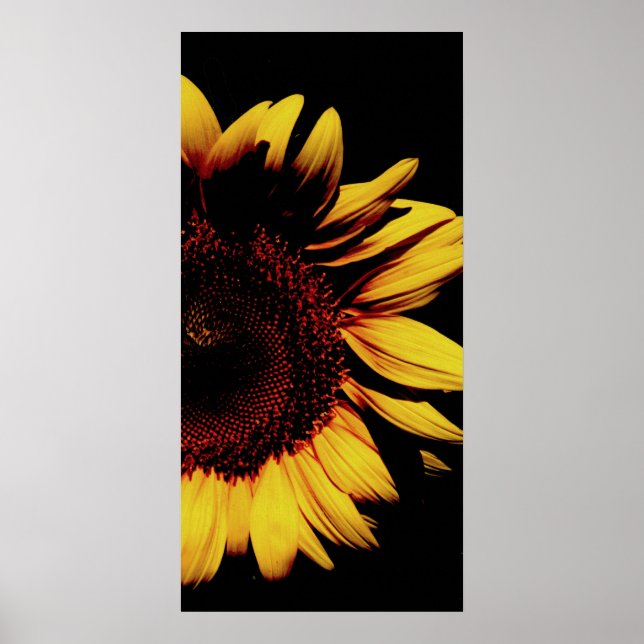 Póster Sol escuro (Frente)