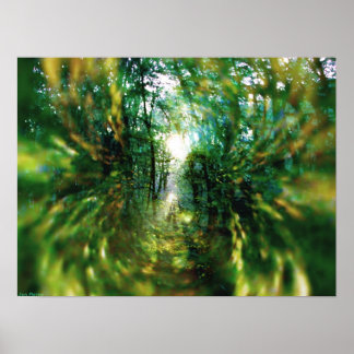 Poster Sol na Floresta 2